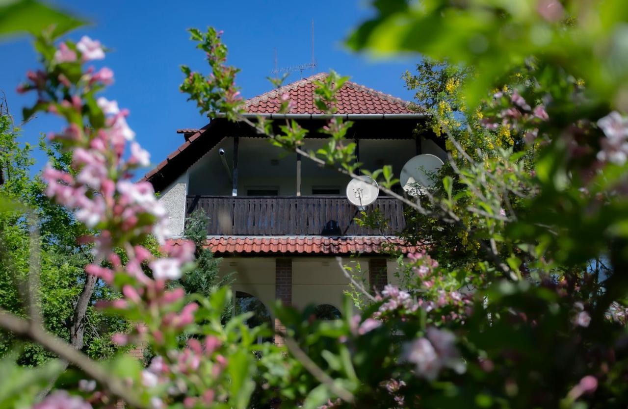 Bed and Breakfast Alabástrom Panzió és Étterem à Bogács Extérieur photo